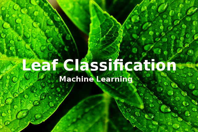 Leaf classification